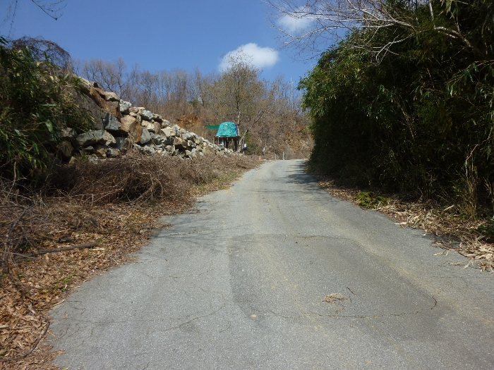 본건 기호(8,9)도로 전경