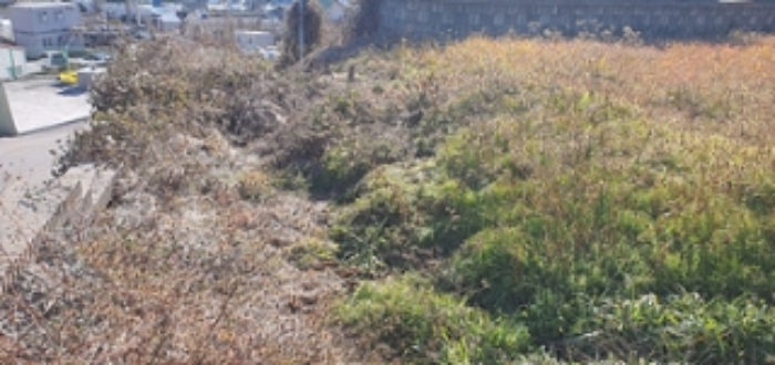 기호 4,5 토지 전경