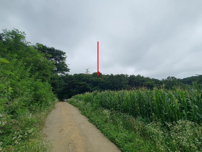 본건 북동측에서 촬영한 주변 전경