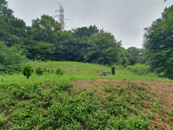 본건 소재 분묘 전경