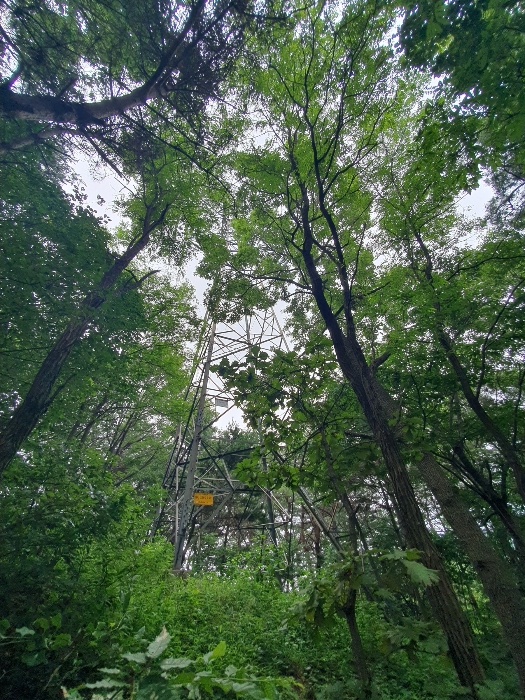 본건 소재 송전탑