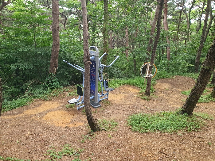 본건 소재 야외체육시설