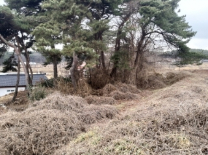 3.목록 토지