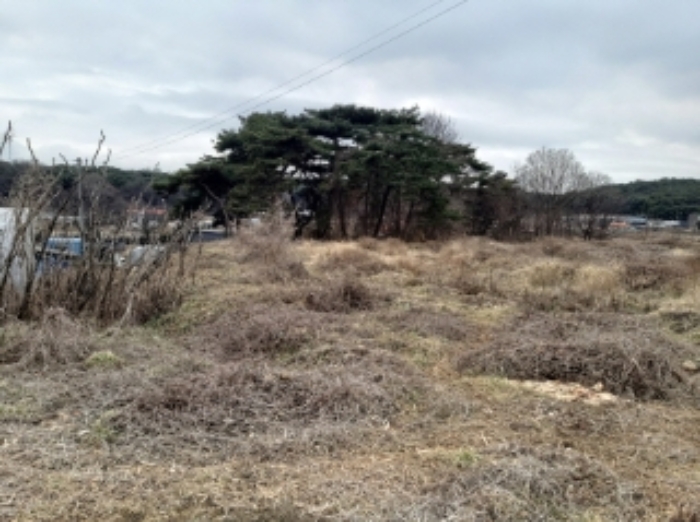 3.목록 토지