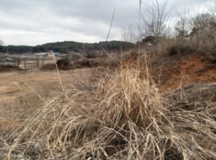 3.목록 토지