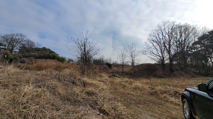 대상 전경