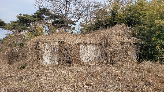 대상 일련번호(2),(6)소재 제시외건물