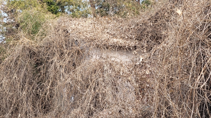 대상 일련번호(2),(6)소재 제시외건물