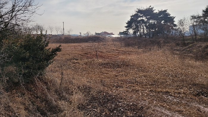 대상 일련번호(3)