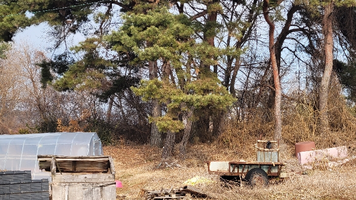 대상 일련번호(5)