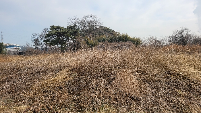 대상 일련번호(1)