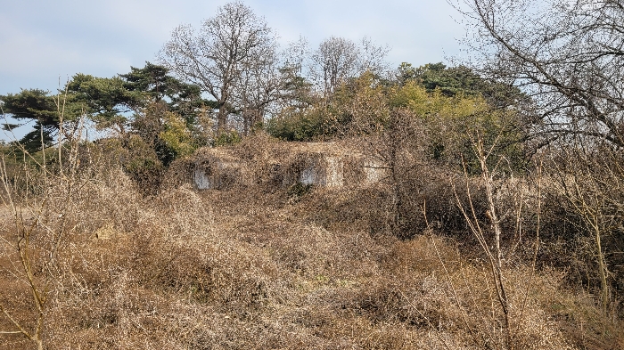 대상 일련번호(2),(6)전경
