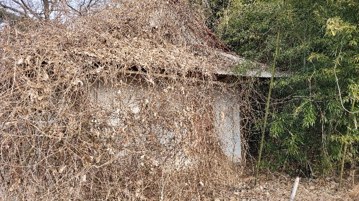 대상 일련번호(2),(6)소재 제시외건물