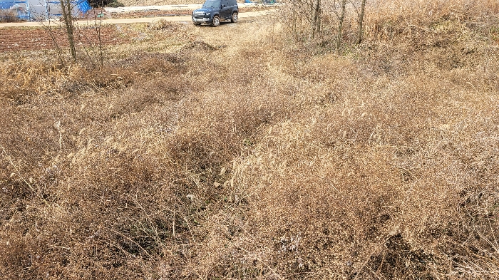 대상 일련번호(2),(6) 진입로 부분