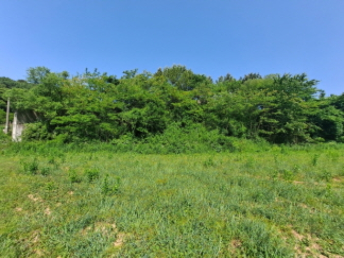 목록 1 서쪽 외곽부분