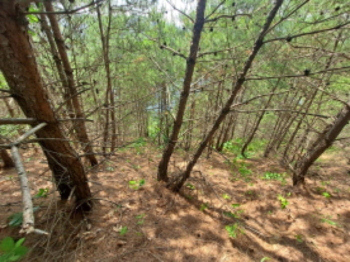 목록 1 동쪽 외곽부분