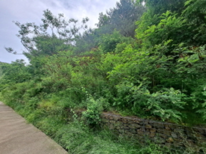 목록 1 동쪽 안쪽부분 