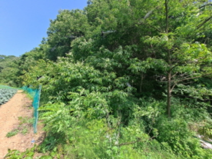 목록 4 북서쪽부분