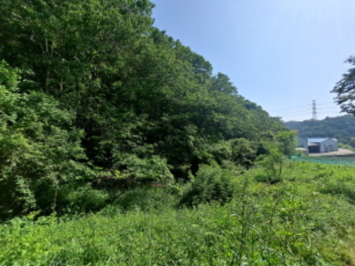 목록 4 북동쪽부분