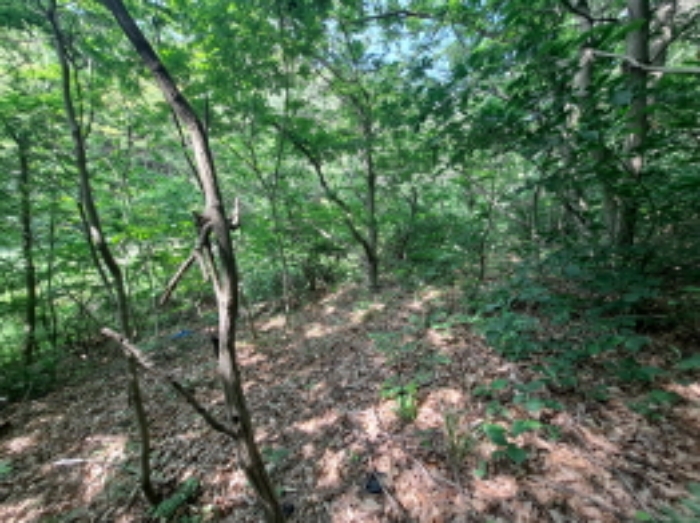 목록 4 북쪽 내부