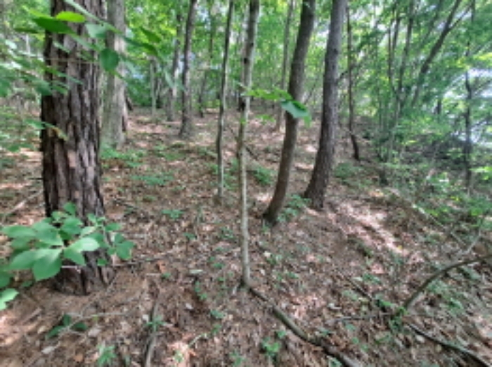 목록 4 동쪽부분