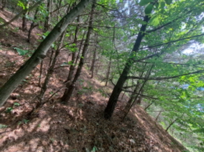 목록 4, 1 동쪽 경계부분