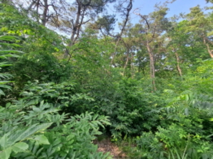 목록 4 동쪽 정상부분