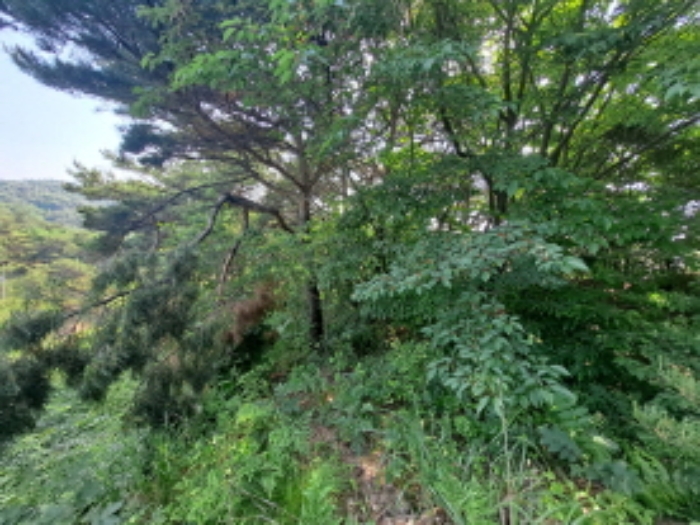 목록 4 동남쪽부분