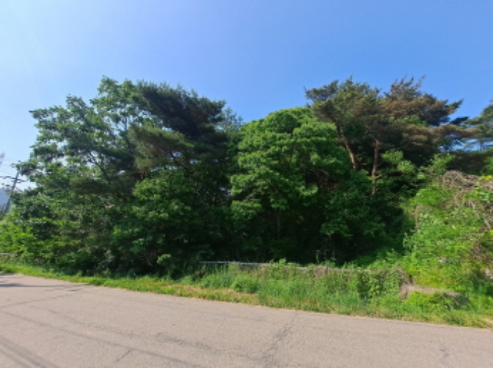 목록 4 남쪽 도로부분