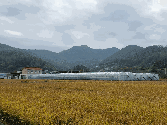 [본건전경(북동