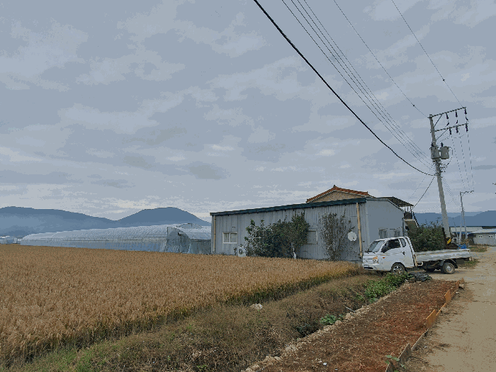 [본건전경(남서