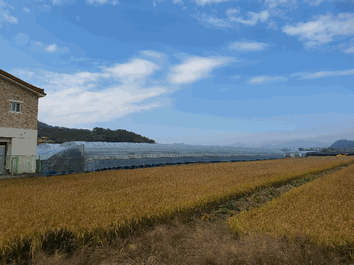 [본건전경(남동