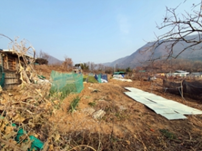 기호4 및 주변전경