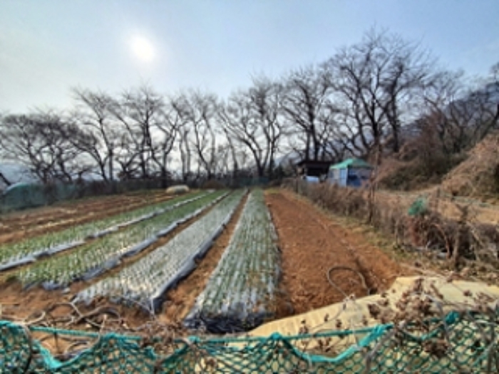 기호2 및 주변전경