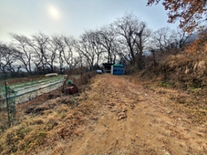 기호2 및 주변전경