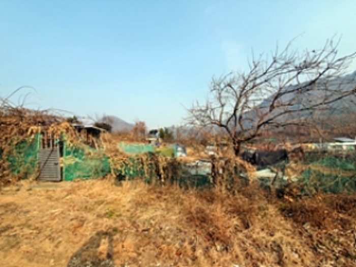 기호4 및 제시외 유실수(감나무) 등