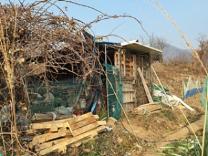 기호4 및 제시외 철파이프 목조 함석(판넬)지붕 농막, 유실수(키위나무) 등