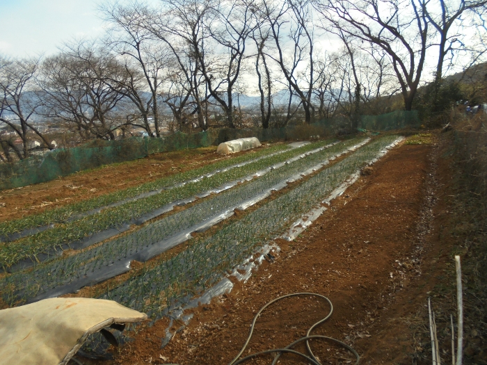 기호(2) 전경 일부