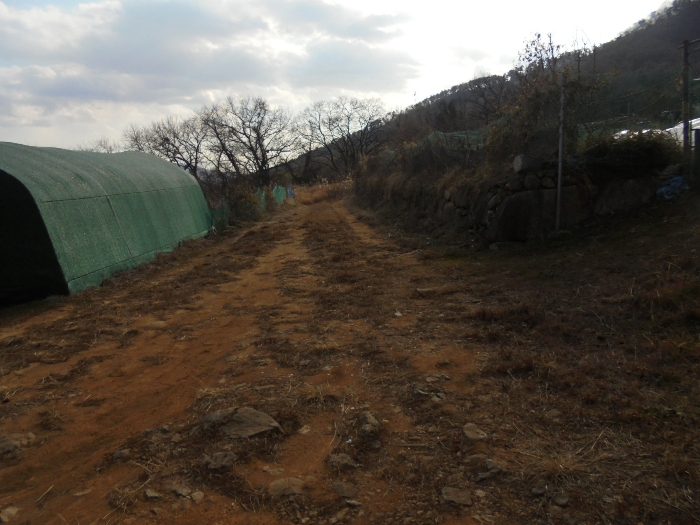 기호(5) 전경 일부