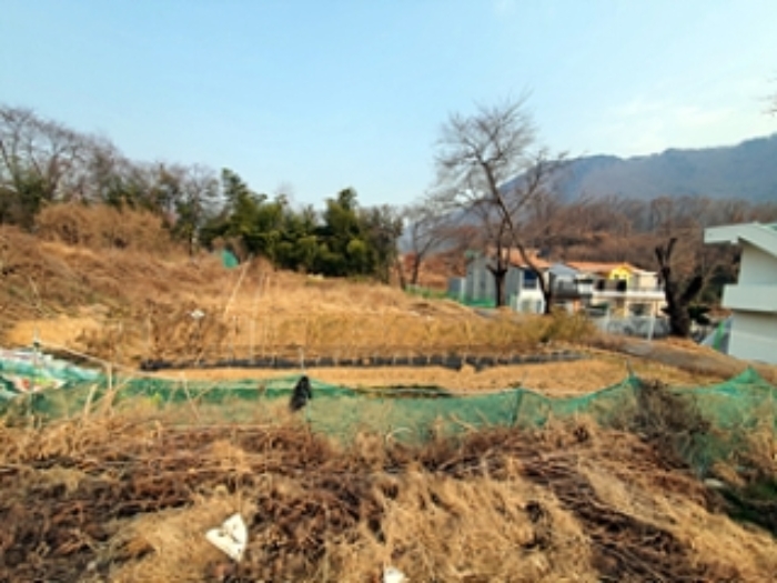 기호1 및 주변전경