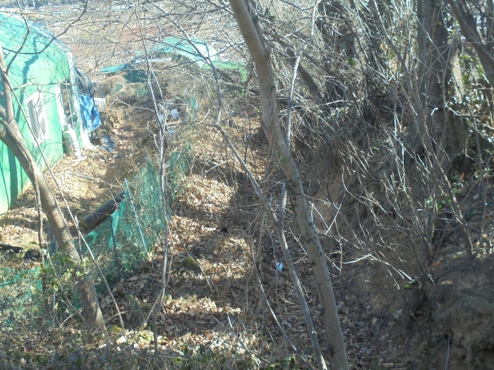 기호(3) 전경 일부