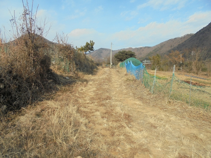 기호(5) 전경 일부