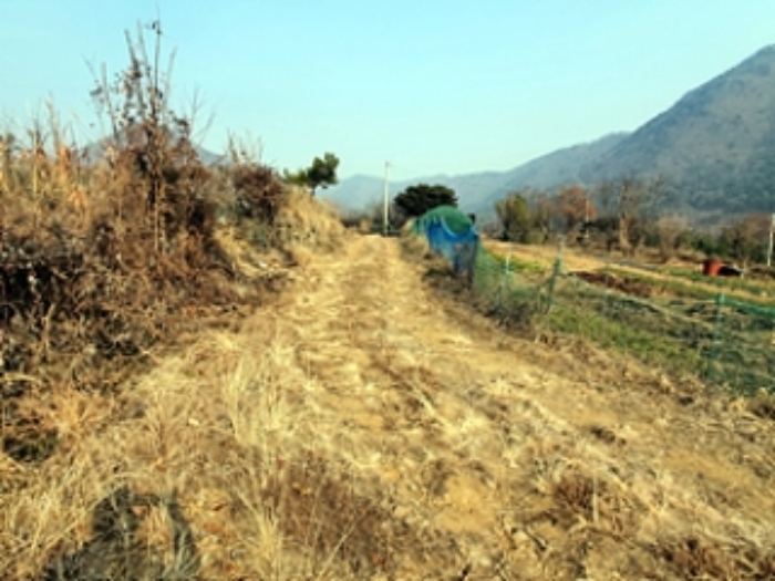 기호5 및 주변전경