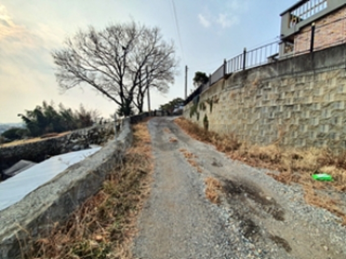 기호6 및 주변전경