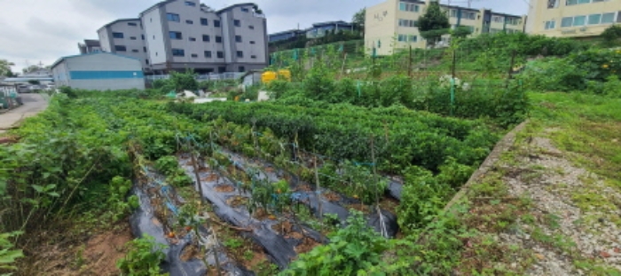 목록 3 토지 전경(1)