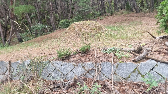 [분묘전경(기호(1) 소재)]