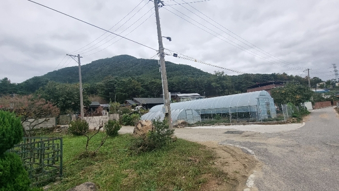 [본건 및 부근일대 임야전경(남측에서 촬영)]