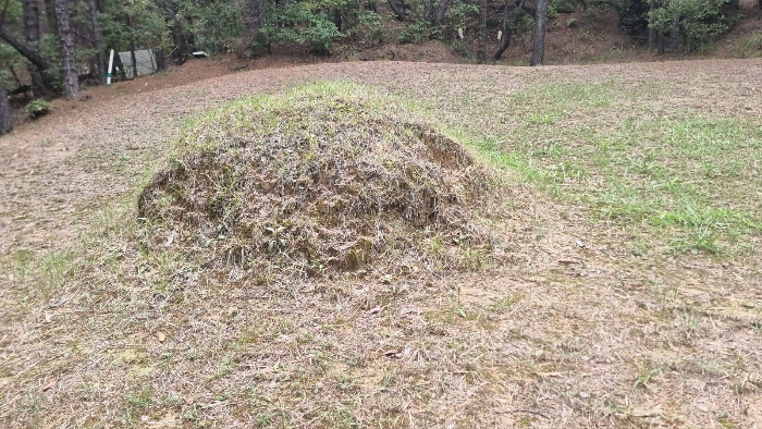 [분묘전경(기호(1) 소재)]