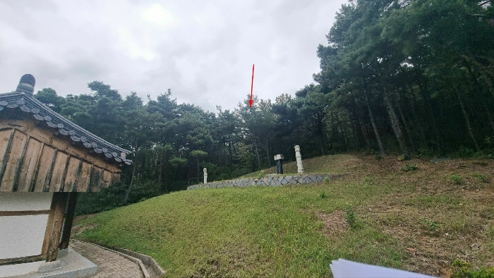 [본건 및 부근일대 임야전경(남동측에서 촬영)]