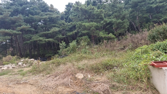 [본건 남서측 하단부 전경]